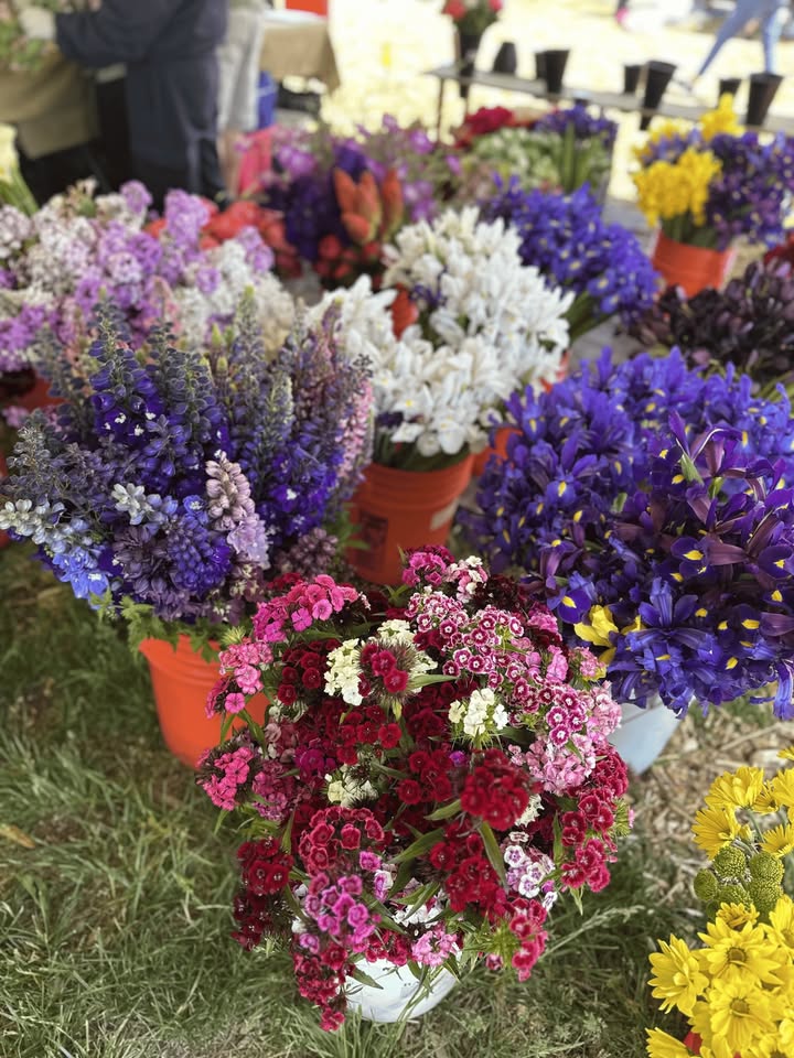 Mount Hood Farmers Market