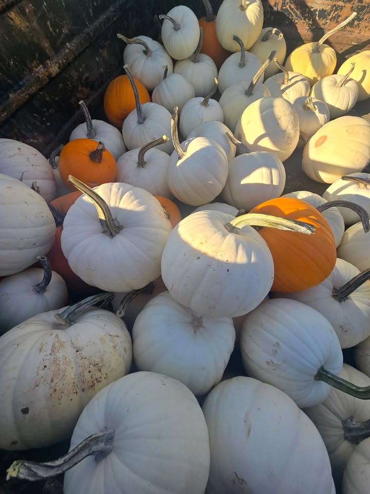 Mount Hood Farmers Market