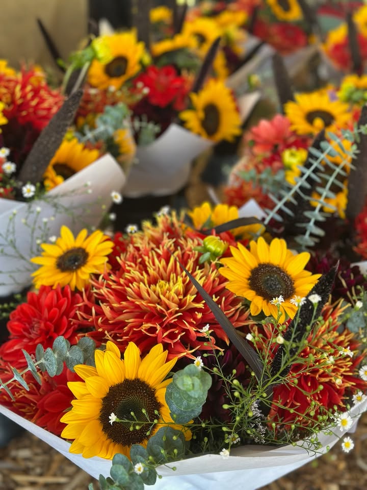 Mount Hood Farmers Market