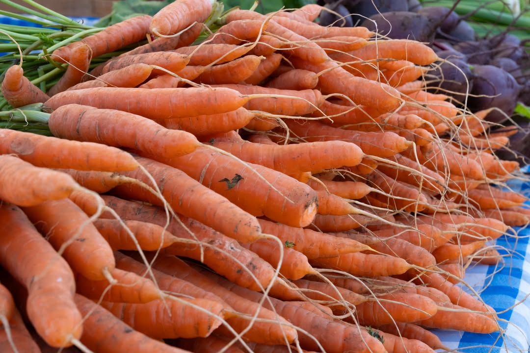 Mount Hood Farmers Market