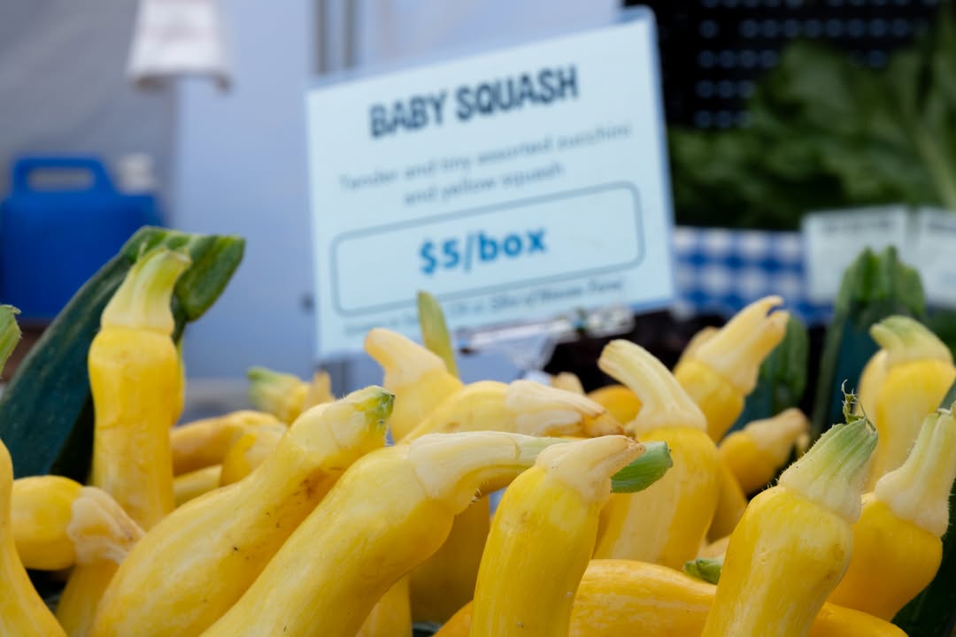 Mount Hood Farmers Market